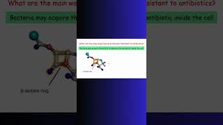 Beta LACTAM ANTIBIOTICS BACTERIA bacteria antibioticresistance physiology microbiology cell [upl. by Seko]