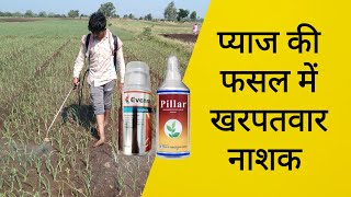 प्याज में खरपतवार नियंत्रण  pyaj me kharpatwar nashak dawa  herbicides for onion crop [upl. by Redman973]