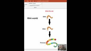 RNA world [upl. by Rogers]