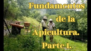 Fundamentos de la Apicultura parte 1 Nivel Básico Abejas Curiosidades Naturaleza apicultura [upl. by Guenevere]