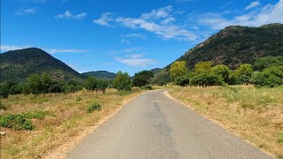 Miombo Woodlands in the Lake Malawi National Park [upl. by Elimay871]