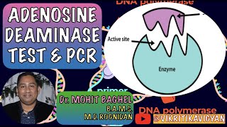 ADENOSINE DEAMINASE TEST amp PCR TEST FOR TUBERCULOSIS BY Dr Mohit Baghel [upl. by Richardo]