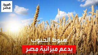 انخفاض كبير في فاتورة الدعم أسعار الحبوب العالمية تدعم ميزانية مصر بالمليارات [upl. by Nitsraek]