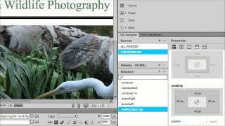 How to Add Padding to an Image in Dreamweaver [upl. by Santos]