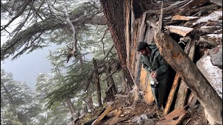 Building winter Survival Shelter Snowfall In NightBushcraft [upl. by Inor]