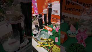 โครงงานวิทยาศาสตร์ การบำบัดน้ำเสีย WastewaterTreatment model science วิทยาศาสตร์ [upl. by Greta]