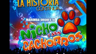 Mix Cachorros del Recuerdo 2014 [upl. by Ennaul865]