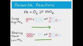 AS Biology  Bohr Effect [upl. by Narah]