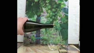 Chenin Blanc – 2022 William Chris Vineyards Hye Texas [upl. by Elyssa543]