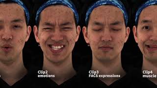 SIGGRAPH ASIA 2022 Videodriven Neural Physicallybased Facial Asset for Production [upl. by Colette]