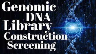 Genomic DNA library  Genomic library construction and screening [upl. by Westland]