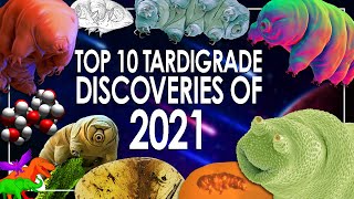 Top 10 Tardigrade Discoveries of 2021 [upl. by Elden633]