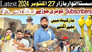 sunday birds market lahore  sunday birds market latest update [upl. by Lester535]