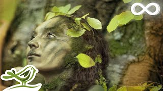 Dance of Life Relaxing Celtic Music for Meditation amp Sleep by Peder B Helland [upl. by Willmert780]