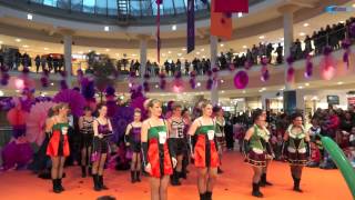 Fasching  PEP 2015 Feringa amp Faschingsclub Neuhausen [upl. by Voletta783]