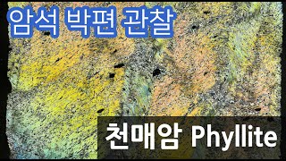 암석 천매암 박편 관찰하기 Phyllite thin section [upl. by Deyas913]