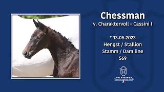 Foal AuctionFalsterbo Horse Show  Nr 09 Chessman [upl. by Nolyak146]