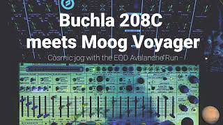 Buchla 208C and Moog Voyager Moon Vapor [upl. by Delphine]