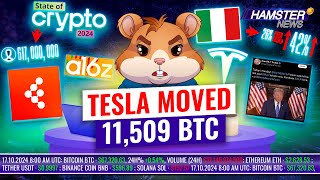 Tesla’s first BTC move in 2 years Trump’s token sale failure jail for crypto fraud ⚡️ Hamster News [upl. by Ahsinev]