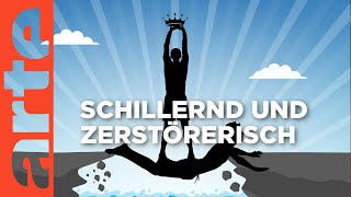 Die Wahrheit über Narzissmus Mehr als toxisch  Der Livetalk  ARTE Saloon [upl. by Colwen]