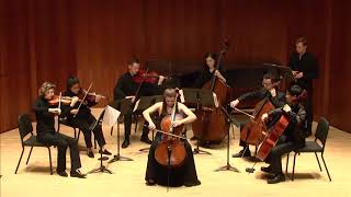 Arvo Part  Fratres  for cello and chamber orchestra [upl. by Wei]