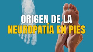 ¡ALERTA ¿tienes NEUROPATÍA en los PIES conoce AHORA las Peligrosas Razones que la Favorecen [upl. by Aniar952]