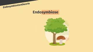 Endosymbiontentheorie – Entstehung der Chloroplasten und Mitochondrien einfach erklärt  sofatutor [upl. by Uwton125]