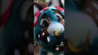 Fae the AWD  FURSUIT FEATURE [upl. by Mairym]