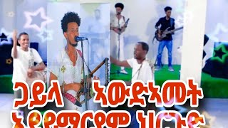 niw Eritrean gayla awdamet hergud xelma ጋይላ ህርጉድ ጽልማ ብ ጣዓመ ካሕሳይ  ቲሞ FILM [upl. by Ssidnak191]