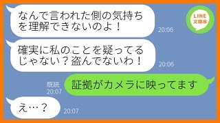 【LINE】何度も注意してるのに勝手に人の家の日用品を持ち去るママ友「どうせ勘違いでしょうｗ」→パクリ常習犯の非常識女がまた持ち帰ろうとしたので罠を仕掛けてやった結果…w【スカッとする話】【総集編】 [upl. by Cis]