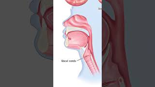 Is your voice changing Find out why  Dr Sanchay Chouksey [upl. by Thornie]