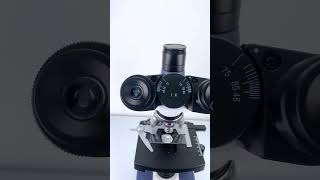 Would you eat Cream magnified 400x underthemicroscope science microscopeshorts [upl. by Aiceled]