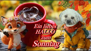 Ein liebes HALLO zum Sonntag mit herzlichen Grüße 💗 für einen schönen Tag 🌞 [upl. by Ertha]