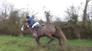 Suir Vale Harriers Hunt Drom Feb 2016 [upl. by Bang859]