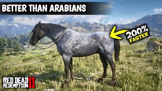 5 Horses Faster than Arabians amp Get them as Arthur Early  Red dead redemption 2 [upl. by Anomar]