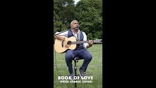 Book of love  Peter Gabriel  Acoustic Cover by Didier Delia [upl. by Ihcehcu]