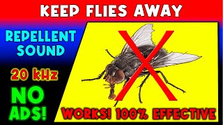 ANTI FLIES REPELLENT SOUND ⛔🦟 KEEP FLIES AWAY  ULTRASONIC SOUND [upl. by Nnaeirrac402]