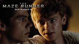 The Maze Runner Movie Clip quotRUNNERSquot in HD 1080p [upl. by Lorac]