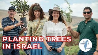 Planting trees in Israel  before Shmita Year 20212022 [upl. by Margaretha]