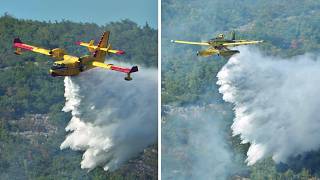 Bombardier CL415 Water Bomber amp Air Tractor Fire Boss  FIREFIGHTING ACTION [upl. by Oalsecnew]