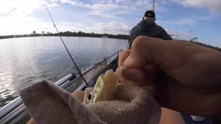 Winter Whiting Fishing Part 1 Re Edit [upl. by Jarad]