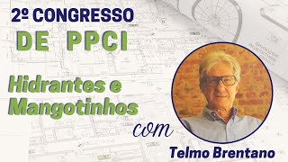 Hidrantes e Mangotinhos  Telmo Brentano [upl. by Koffler]