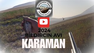 Toroslarda Yaşam Bıldırcın Avında quail السمان doğa rabbithunting toroslar karaman [upl. by Katee]