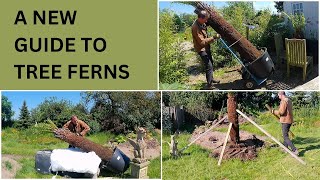 Tree Fern Care  A NEW Guide To Tree Ferns  Dicksonia Antarctica [upl. by Eirrek]