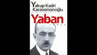 Kitap İncelemesi  Yakup Kadri Karaosmanoğlu  Yaban [upl. by Enelegna669]