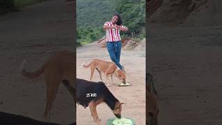 ❤️25JULY❤️🐕UNST🚫PPABLE L🤍VE STORY🐕❤️PT02❤️dogcatlovemotivationbeautifulytshortsviralvideo [upl. by Ettolrahc]