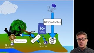 Biogeochemical Cycles [upl. by Enelyw161]