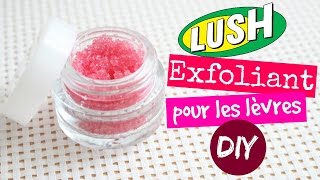 DIY EXFOLIANT POUR LES LEVRES LUSH  LA FEE DES LEVRES [upl. by Niuqaoj771]