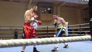 Tervel Pulev vs Valery Brudov 1 Round 10 03 2018 Berlin [upl. by Fasto26]