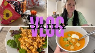 PERFIDNA MANIPULACJA 🤯 DAILY VLOG [upl. by Lachus]